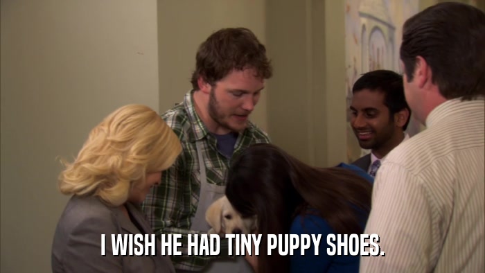 I WISH HE HAD TINY PUPPY SHOES.  