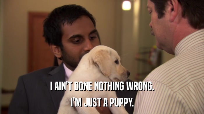 I AIN'T DONE NOTHING WRONG. I'M JUST A PUPPY. 
