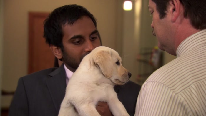 I AIN'T DONE NOTHING WRONG. I'M JUST A PUPPY. 