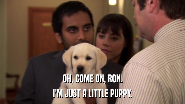 OH, COME ON, RON. I'M JUST A LITTLE PUPPY. 