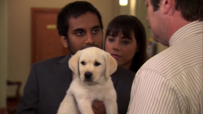 OH, COME ON, RON. I'M JUST A LITTLE PUPPY. 