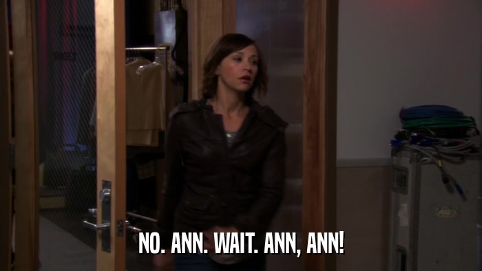 NO. ANN. WAIT. ANN, ANN!  