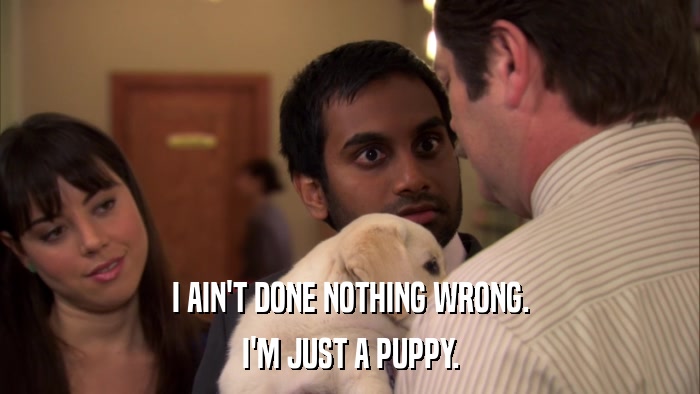 I AIN'T DONE NOTHING WRONG. I'M JUST A PUPPY. 