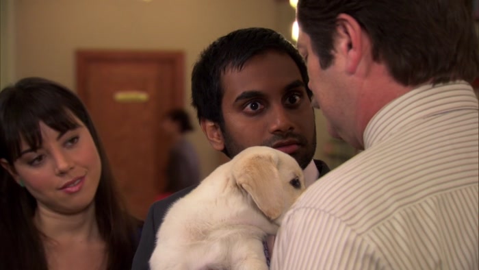 I AIN'T DONE NOTHING WRONG. I'M JUST A PUPPY. 