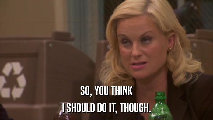 SO, YOU THINK I SHOULD DO IT, THOUGH. 