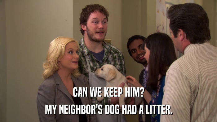 CAN WE KEEP HIM? MY NEIGHBOR'S DOG HAD A LITTER. 