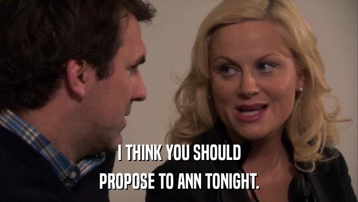 I THINK YOU SHOULD PROPOSE TO ANN TONIGHT. 