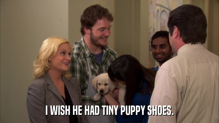 I WISH HE HAD TINY PUPPY SHOES.  