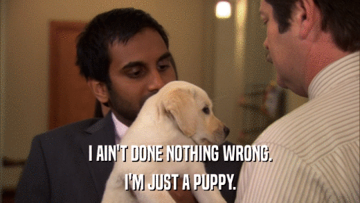 I AIN'T DONE NOTHING WRONG. I'M JUST A PUPPY. 