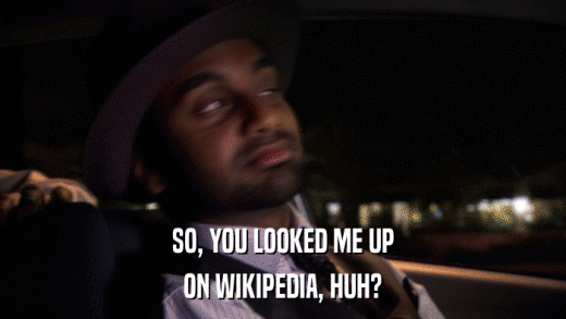 SO, YOU LOOKED ME UP ON WIKIPEDIA, HUH? 