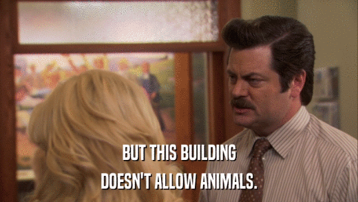 BUT THIS BUILDING DOESN'T ALLOW ANIMALS. 