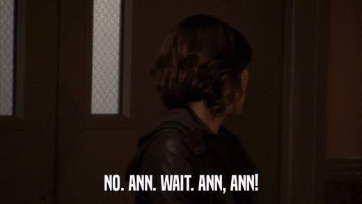 NO. ANN. WAIT. ANN, ANN!  