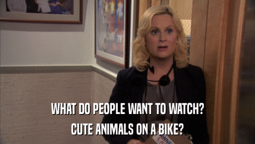 WHAT DO PEOPLE WANT TO WATCH? CUTE ANIMALS ON A BIKE? 
