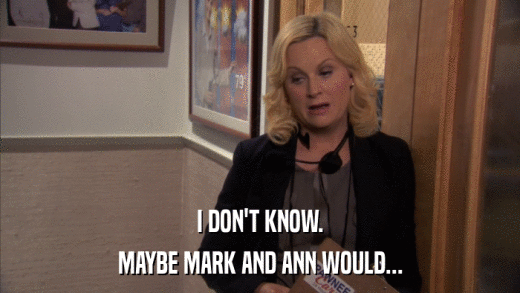 I DON'T KNOW. MAYBE MARK AND ANN WOULD... 