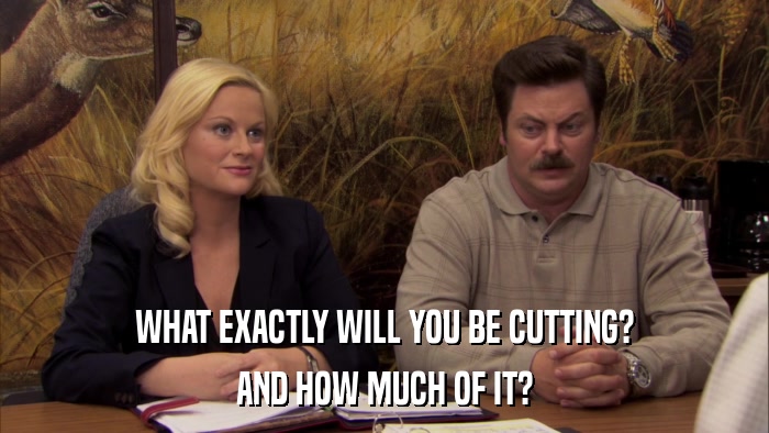 WHAT EXACTLY WILL YOU BE CUTTING? AND HOW MUCH OF IT? 