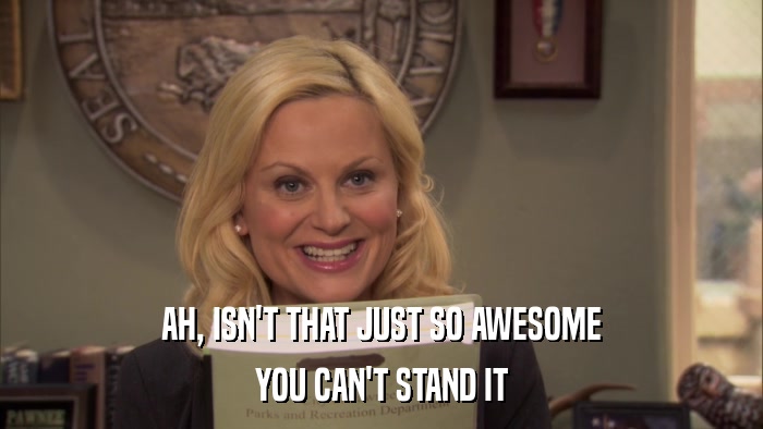AH, ISN'T THAT JUST SO AWESOME YOU CAN'T STAND IT 