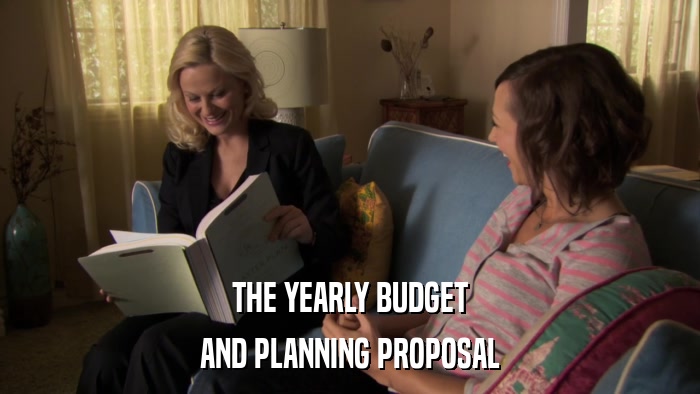 THE YEARLY BUDGET AND PLANNING PROPOSAL 