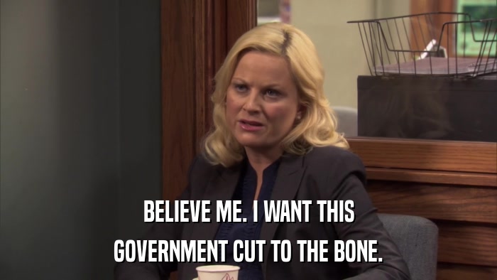 BELIEVE ME. I WANT THIS GOVERNMENT CUT TO THE BONE. 