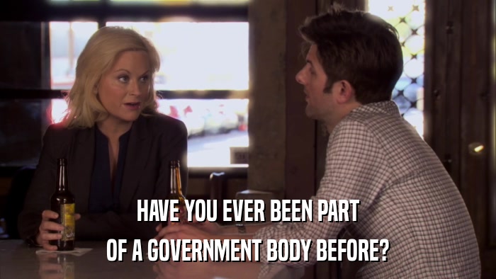 HAVE YOU EVER BEEN PART OF A GOVERNMENT BODY BEFORE? 