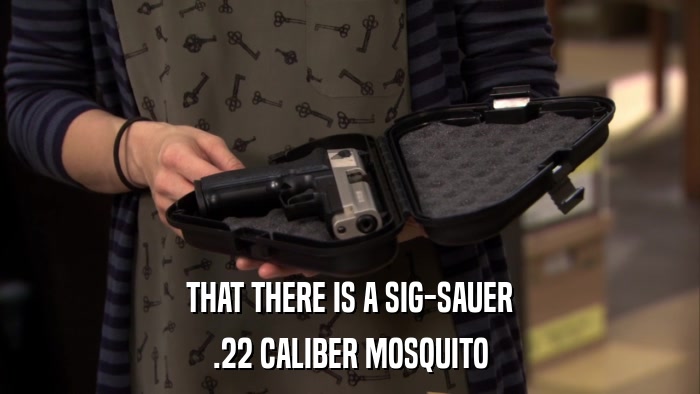 THAT THERE IS A SIG-SAUER .22 CALIBER MOSQUITO 