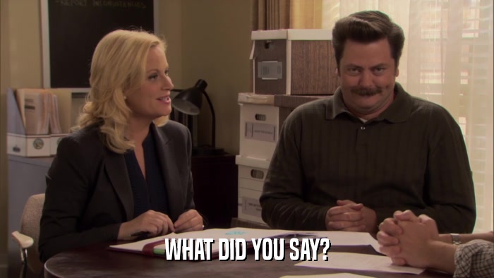 WHAT DID YOU SAY?  