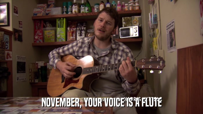 NOVEMBER, YOUR VOICE IS A FLUTE  