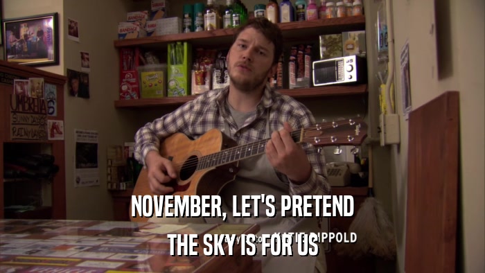 NOVEMBER, LET'S PRETEND THE SKY IS FOR US 