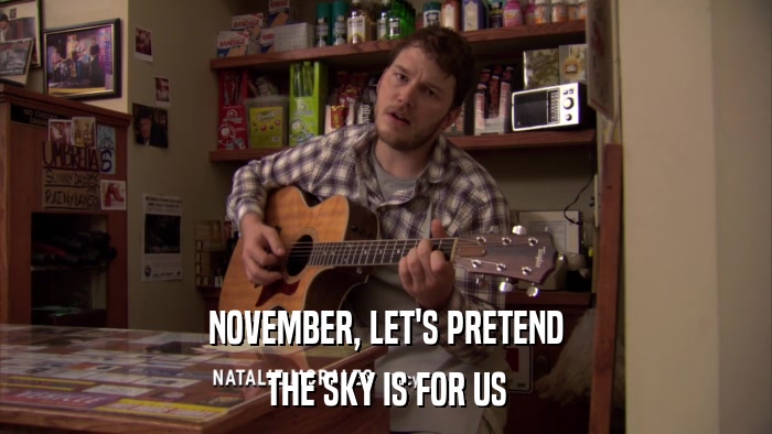 NOVEMBER, LET'S PRETEND THE SKY IS FOR US 