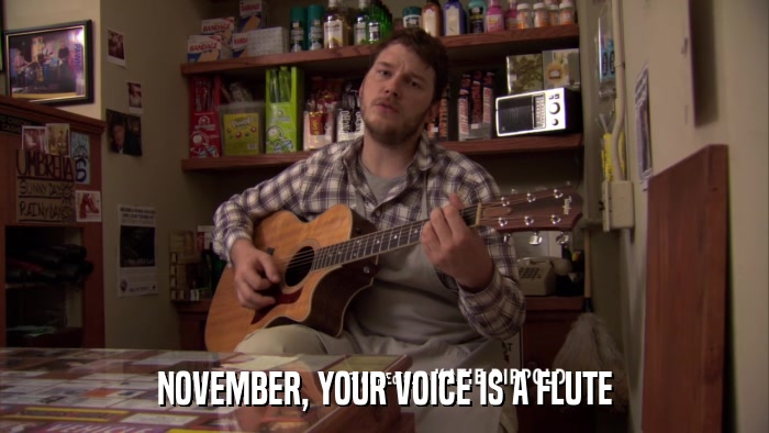NOVEMBER, YOUR VOICE IS A FLUTE  