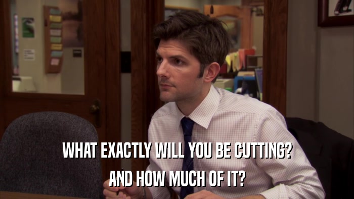 WHAT EXACTLY WILL YOU BE CUTTING? AND HOW MUCH OF IT? 