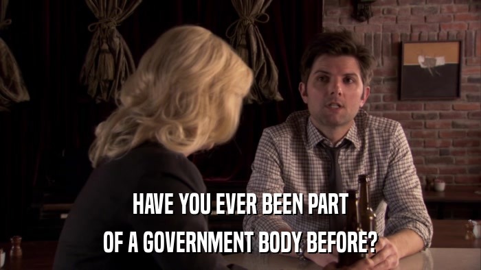 HAVE YOU EVER BEEN PART OF A GOVERNMENT BODY BEFORE? 