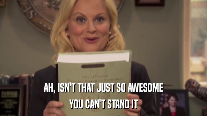 AH, ISN'T THAT JUST SO AWESOME YOU CAN'T STAND IT 