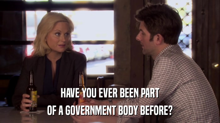 HAVE YOU EVER BEEN PART OF A GOVERNMENT BODY BEFORE? 