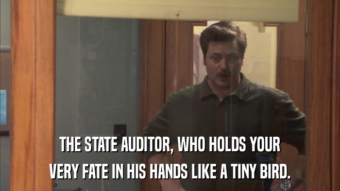 THE STATE AUDITOR, WHO HOLDS YOUR VERY FATE IN HIS HANDS LIKE A TINY BIRD. 