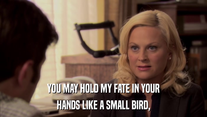 YOU MAY HOLD MY FATE IN YOUR HANDS LIKE A SMALL BIRD, 