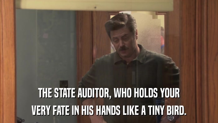THE STATE AUDITOR, WHO HOLDS YOUR VERY FATE IN HIS HANDS LIKE A TINY BIRD. 
