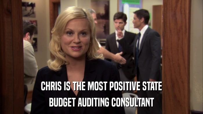 CHRIS IS THE MOST POSITIVE STATE BUDGET AUDITING CONSULTANT 