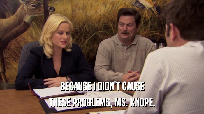 BECAUSE I DIDN'T CAUSE THESE PROBLEMS, MS. KNOPE. 