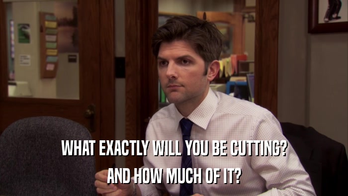 WHAT EXACTLY WILL YOU BE CUTTING? AND HOW MUCH OF IT? 