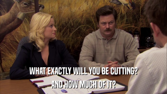 WHAT EXACTLY WILL YOU BE CUTTING? AND HOW MUCH OF IT? 