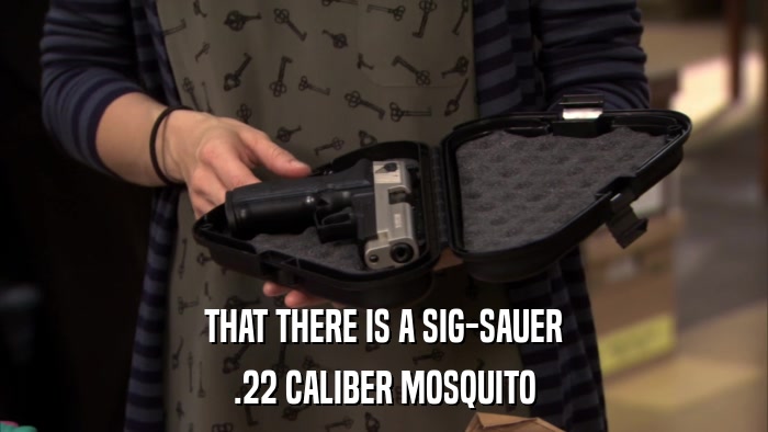THAT THERE IS A SIG-SAUER .22 CALIBER MOSQUITO 