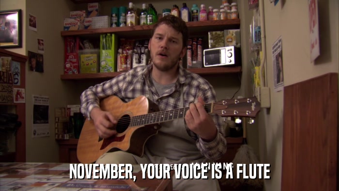 NOVEMBER, YOUR VOICE IS A FLUTE  