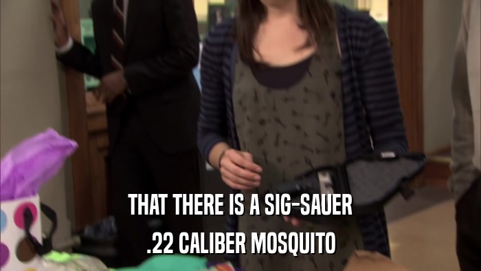 THAT THERE IS A SIG-SAUER .22 CALIBER MOSQUITO 