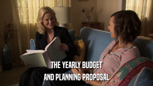 THE YEARLY BUDGET AND PLANNING PROPOSAL 