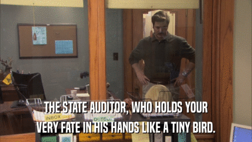THE STATE AUDITOR, WHO HOLDS YOUR VERY FATE IN HIS HANDS LIKE A TINY BIRD. 