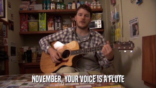 NOVEMBER, YOUR VOICE IS A FLUTE  