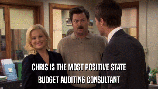 CHRIS IS THE MOST POSITIVE STATE BUDGET AUDITING CONSULTANT 