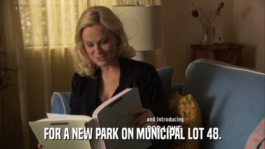 FOR A NEW PARK ON MUNICIPAL LOT 48.  