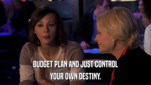 BUDGET PLAN AND JUST CONTROL YOUR OWN DESTINY. 