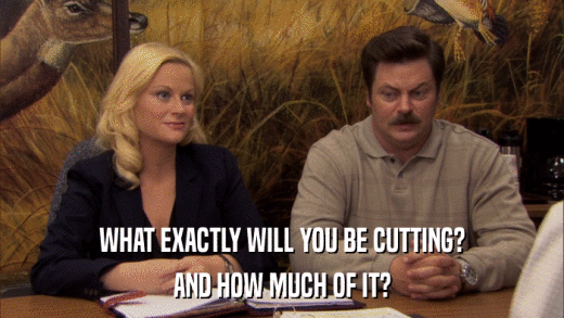 WHAT EXACTLY WILL YOU BE CUTTING? AND HOW MUCH OF IT? 